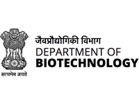 6 6
